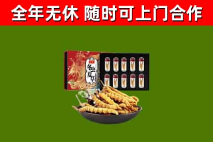 建华区回收冬虫夏草价格